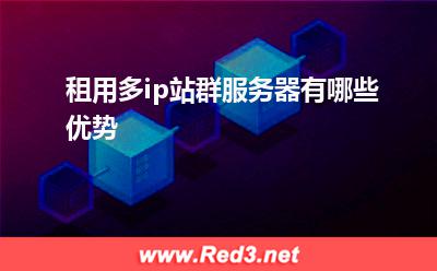 服务器:租用多ip站群服务器有哪些优势