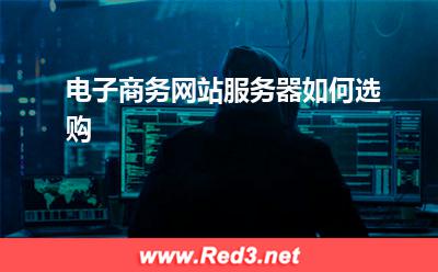 服务器:电子商务网站服务器如何选购