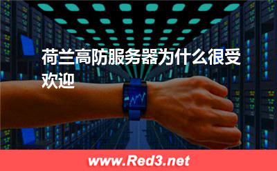 荷兰高防服务器为什么很受欢迎
