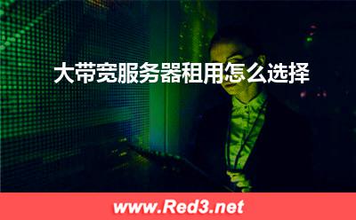 服务器:大带宽服务器租用怎么选择