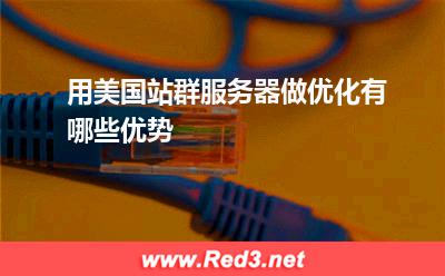 服务器:用美国站群服务器做优化有哪些优势