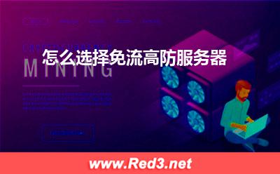 服务器:怎么选择免流高防服务器