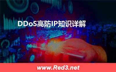 站群服务器:DDoS高防IP知识详解