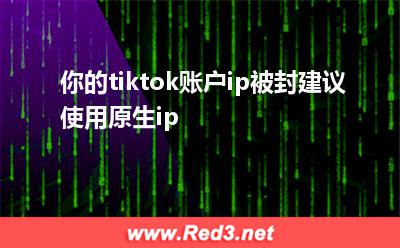 tiktok原生ip那里购买租用