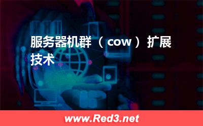 服务器机群:服务器机群(cow)扩展技术