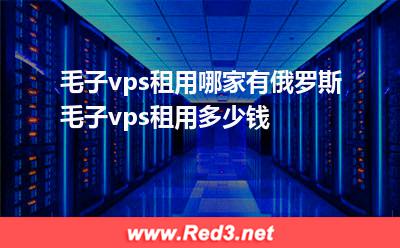 毛子vps租用哪家有,俄罗斯毛子vps租用多少钱
