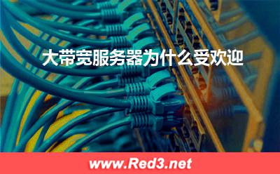 大带宽服务器:大带宽服务器为什么受欢迎