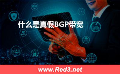 真假BGP带宽:什么是真假BGP带宽