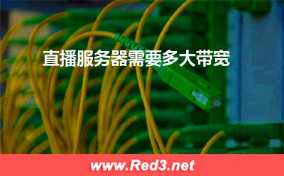 直播服务器需要多大带宽