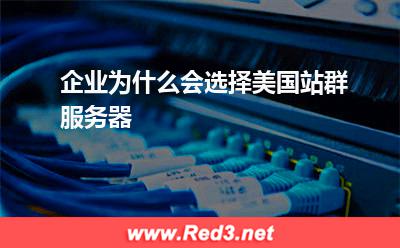 企业为什么会选择美国站群服务器