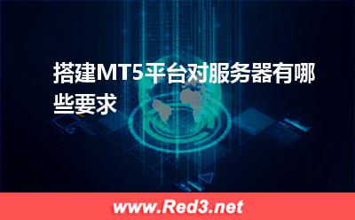 MT5交易平台:搭建MT5平台对服务器有哪些要求