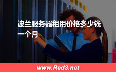 波兰服务器:波兰服务器租用价格多少钱一个月