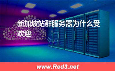 新加坡站群服务器为什么受欢迎
