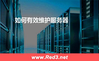 服务器:如何有效维护服务器
