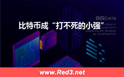 玩家:比特币成“打不死的小强”