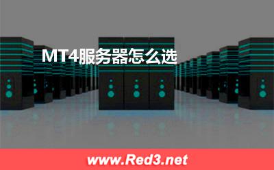 MT4服务器:MT4服务器怎么选