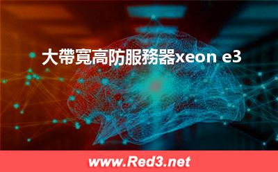 大帶寬高防服務器xeone3 大帶寬高防服務器xeon e3 大帶寬高防服務器xeone3