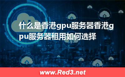香港gpu服务器租用如何选择