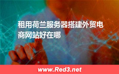 租用荷兰服务器搭建外贸电商网站好在哪