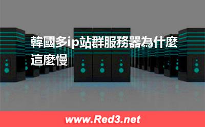 韓國多ip站群服務器為什麼這麼慢