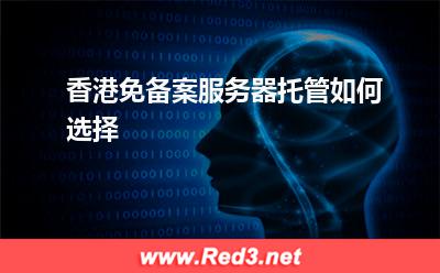 服务器:香港免备案服务器托管如何选择