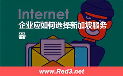 企业应如何选择新加坡服务器