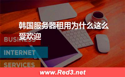 韩国服务器租用为什么这么受欢迎