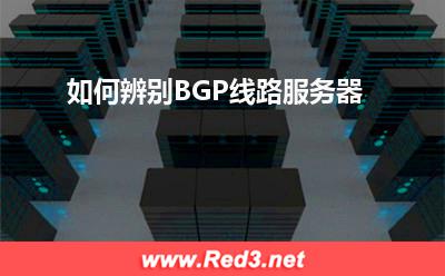 BGP线路服务器:如何辨别BGP线路服务器