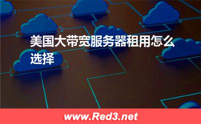 服务器:美国大带宽服务器租用怎么选择