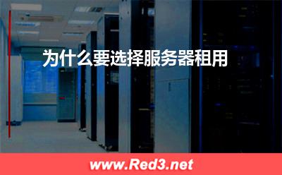 服务器:为什么要选择服务器租用