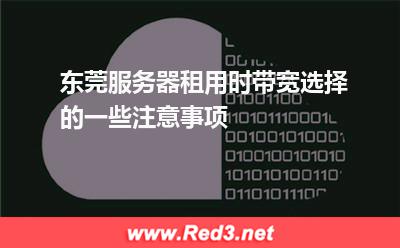 东莞服务器租用时带宽选择的一些注意事项