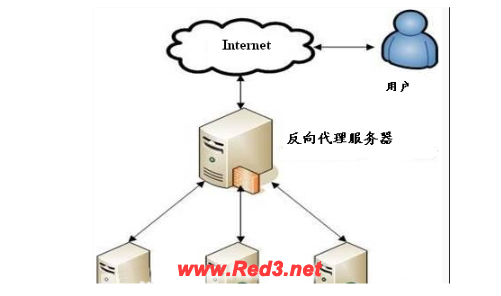 代理服务器的作用有哪些?看完本文就明白了