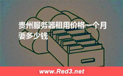 贵州服务器租用价格一个月要多少钱