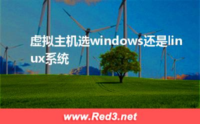 空间服务商:虚拟主机选windows还是linux系统