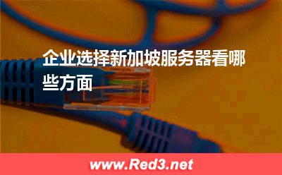企业选择新加坡服务器看哪些方面