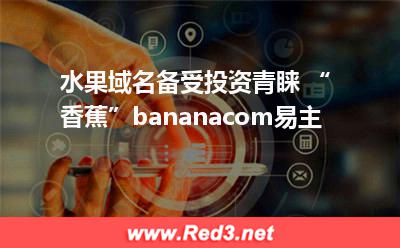 水果域名备受投资青睐 “香蕉”bananacom易主