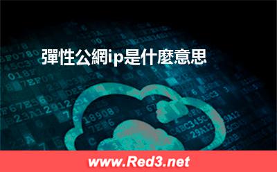 彈性公網ip 彈性公網ip是什麼意思