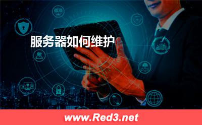 服务器:服务器如何维护