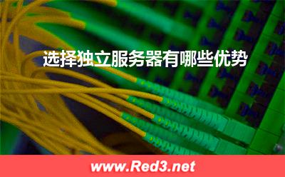 服务器:选择独立服务器有哪些优势? 服务器,独立服务器