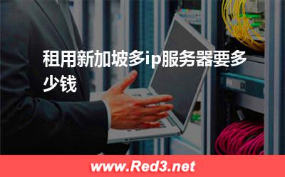 租用新加坡多ip服务器要多少钱