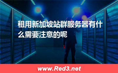 新加坡站群服务器:租用新加坡站群服务器有什么需要注意的呢 新加坡站群服务器,新加坡站群