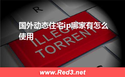国外住宅ip:国外动态住宅ip哪家有,怎么使用