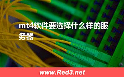 mt4服务器:mt4软件要选择什么样的服务器