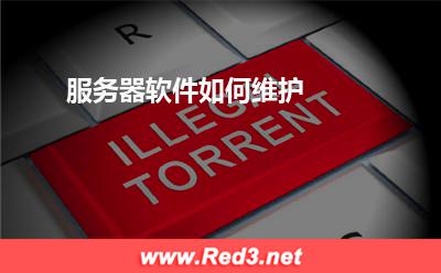 服务器:服务器软件如何维护