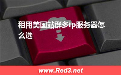 租用美国站群多ip服务器怎么选