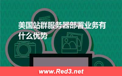 美国站群服务器部署业务有什么优势