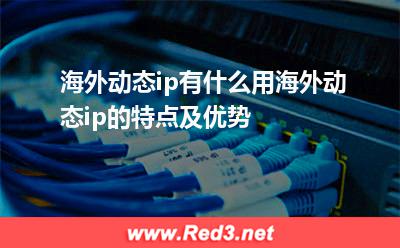 海外动态ip有什么用海外动态ip的特点及优势