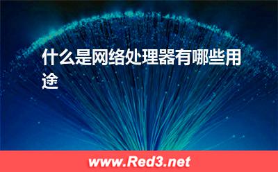 负载均衡：什么是网络处理器有哪些用途