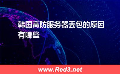 韩国高防服务器丢包的原因有哪些