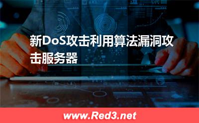服务器宕机:新DoS攻击利用算法漏洞攻击服务器
